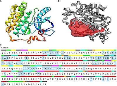 Cell cycle arrest and apoptotic studies of Terminalia chebula against MCF-7 breast cancer cell line: an in vitro and in silico approach
